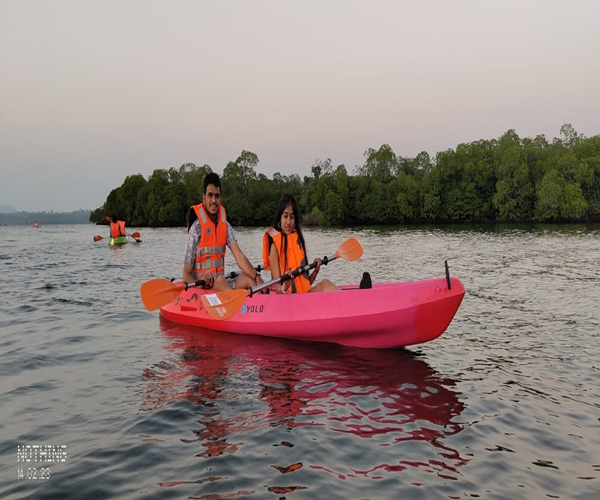 Bioluminescence Kayaking